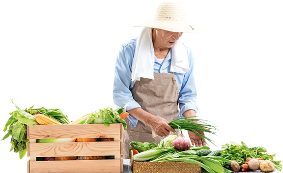 ��ũ����չ���ϵ���